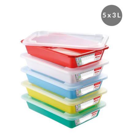 Set of 5 "sample dish" storage bins